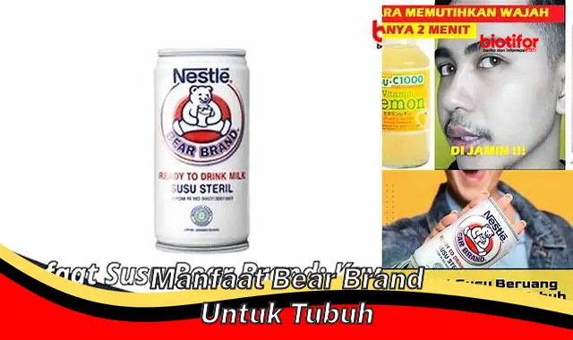 Temukan Manfaat Bear Brand untuk Tubuh yang Jarang Diketahui