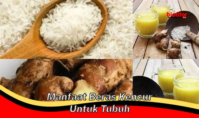 Manfaat Beras Kencur untuk Tubuh: Penemuan Baru yang Jarang Diketahui