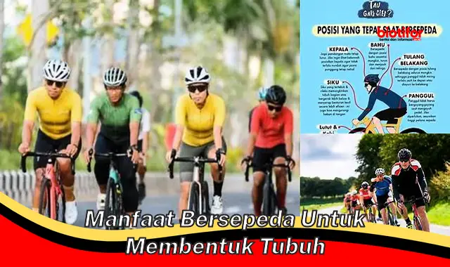 manfaat bersepeda untuk membentuk tubuh