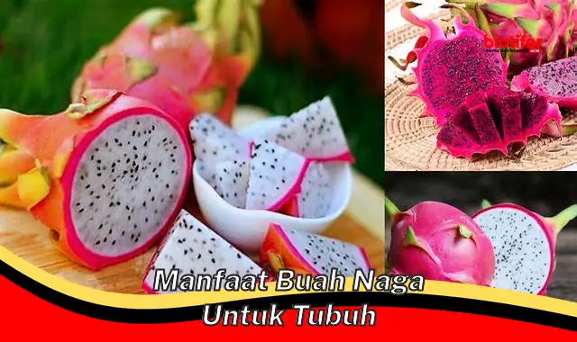 manfaat buah naga untuk tubuh