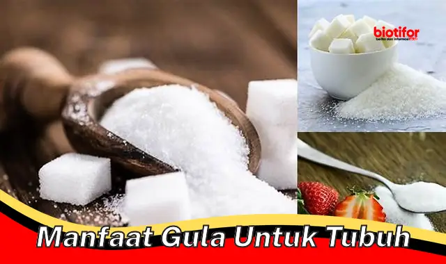 Temukan Manfaat Gula untuk Tubuh yang Jarang Diketahui