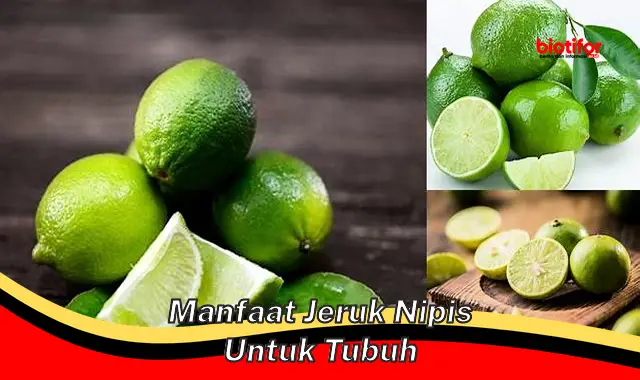 manfaat jeruk nipis untuk tubuh