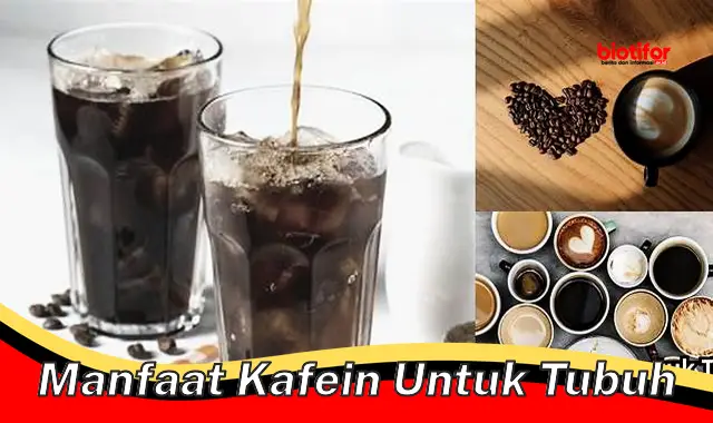 manfaat kafein untuk tubuh