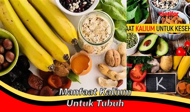 manfaat kalium untuk tubuh