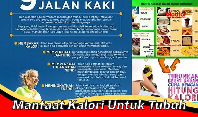 Temukan Manfaat Kalori untuk Tubuh yang Jarang Diketahui