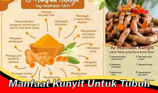 Temukan 5 Khasiat Kunyit untuk Tubuh yang Jarang Diketahui