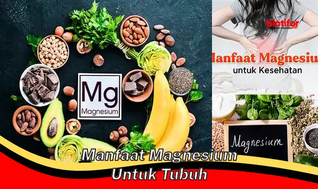 manfaat magnesium untuk tubuh