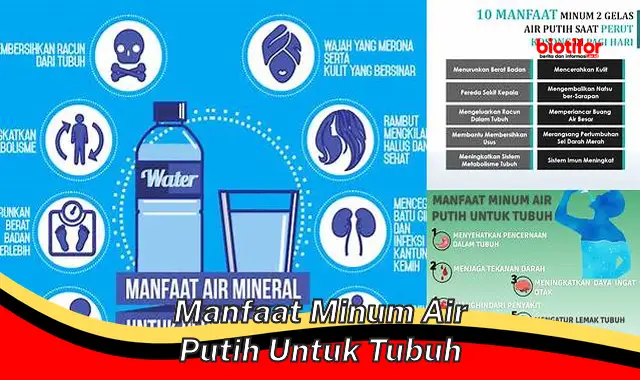 manfaat minum air putih untuk tubuh