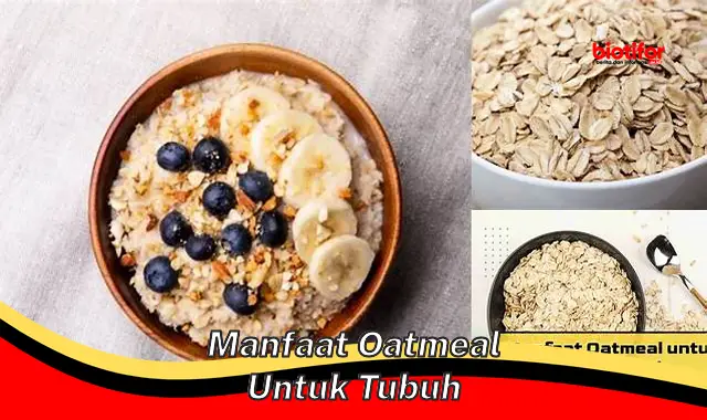 manfaat oatmeal untuk tubuh