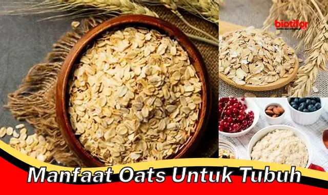 manfaat oats untuk tubuh