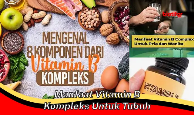 manfaat vitamin b kompleks untuk tubuh