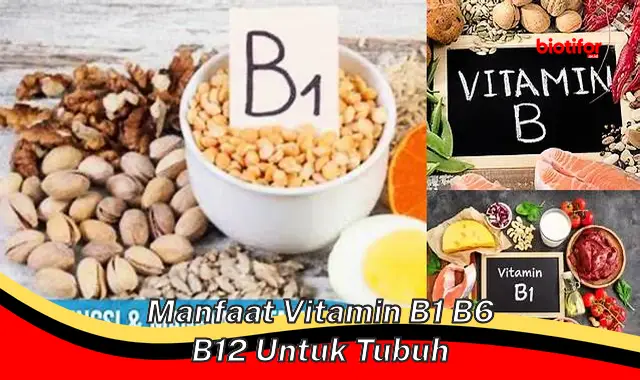 manfaat vitamin b1 b6 b12 untuk tubuh