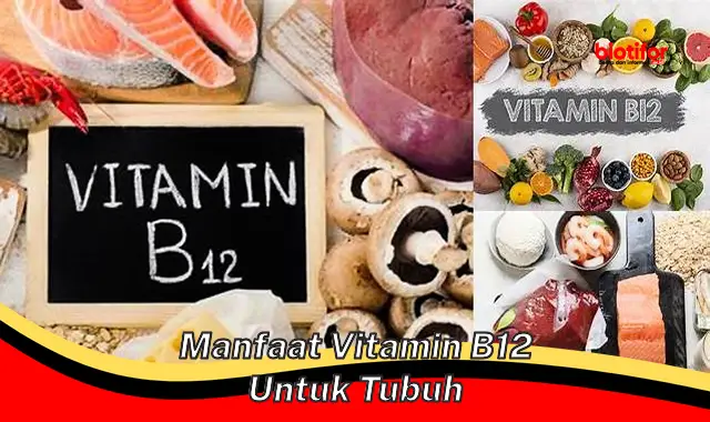 manfaat vitamin b12 untuk tubuh