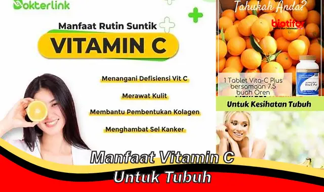 manfaat vitamin c untuk tubuh