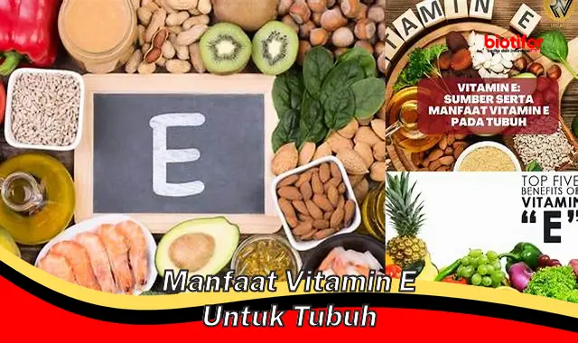 manfaat vitamin e untuk tubuh