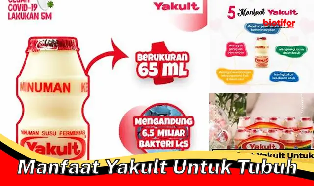 manfaat yakult untuk tubuh