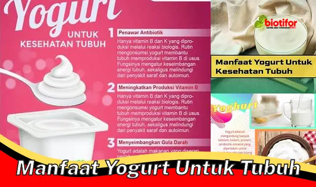 manfaat yogurt untuk tubuh