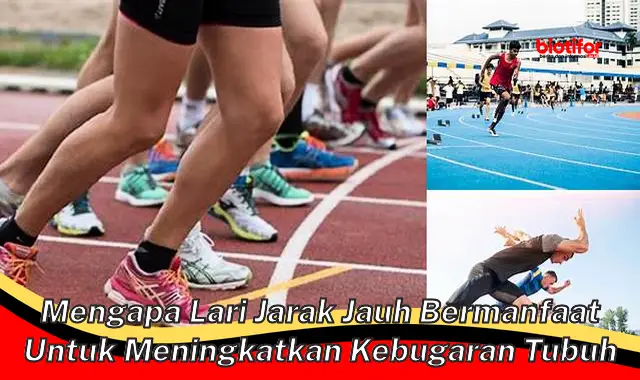 Panduan Menggunakan Pelacak Kebugaran untuk Lari-www.binjasgar.com