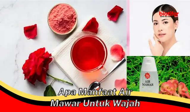 apa manfaat air mawar untuk wajah