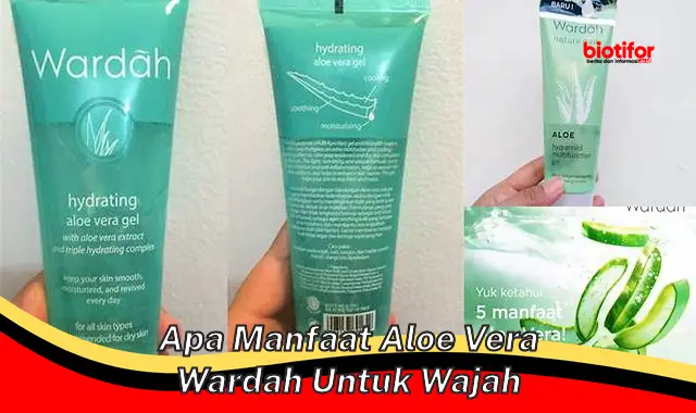 apa manfaat aloe vera wardah untuk wajah