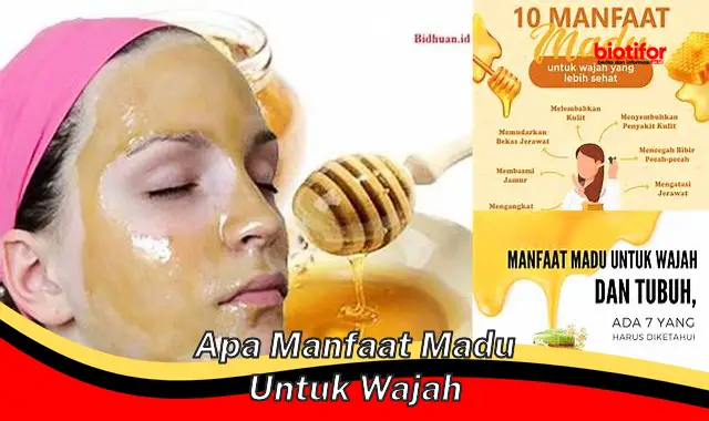 apa manfaat madu untuk wajah