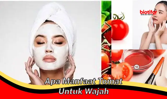 apa manfaat tomat untuk wajah