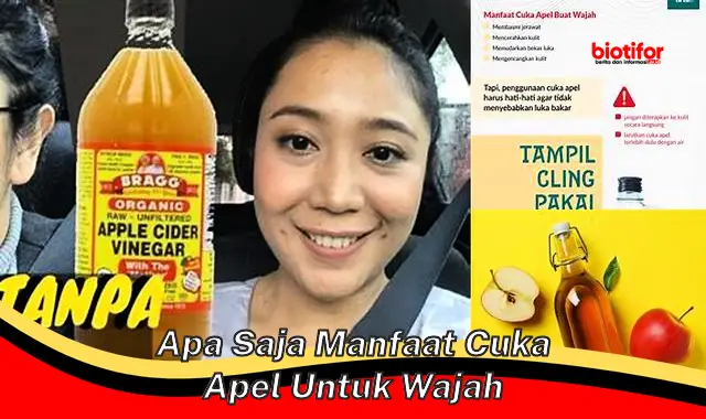 apa saja manfaat cuka apel untuk wajah