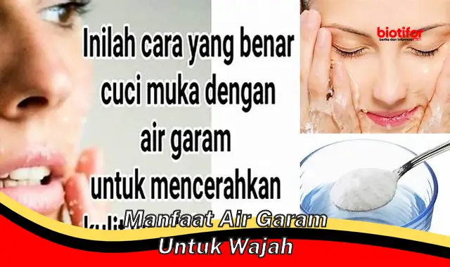 manfaat air garam untuk wajah