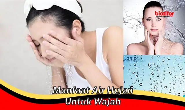 manfaat air hujan untuk wajah