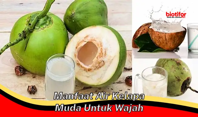 manfaat air kelapa muda untuk wajah