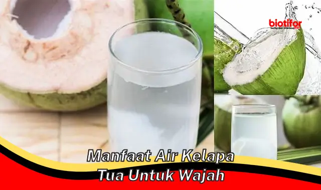 manfaat air kelapa tua untuk wajah