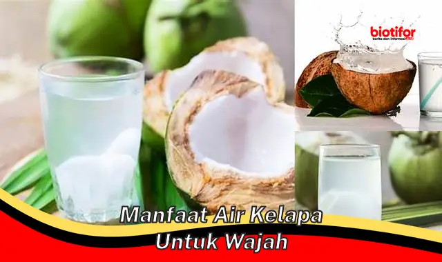 manfaat air kelapa untuk wajah