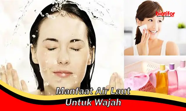 manfaat air laut untuk wajah