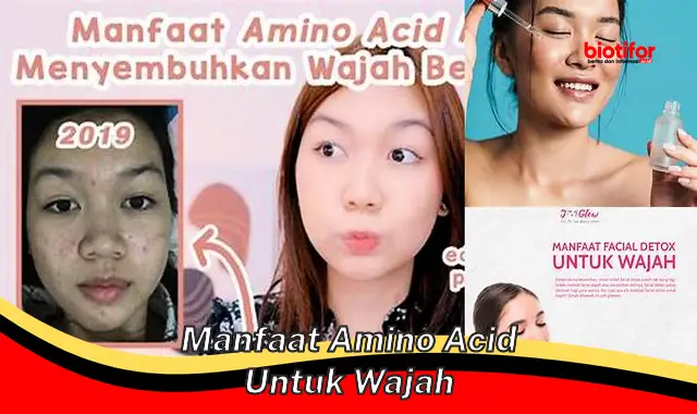 manfaat amino acid untuk wajah