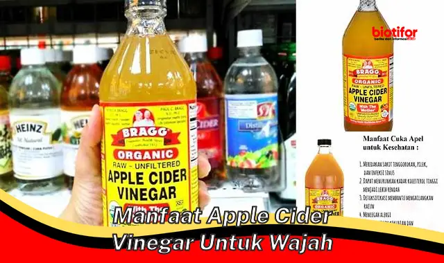 manfaat apple cider vinegar untuk wajah