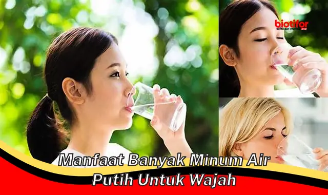 manfaat banyak minum air putih untuk wajah