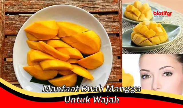 manfaat buah mangga untuk wajah