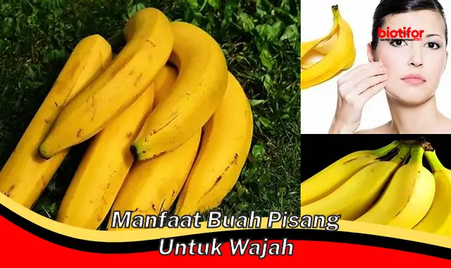 manfaat buah pisang untuk wajah