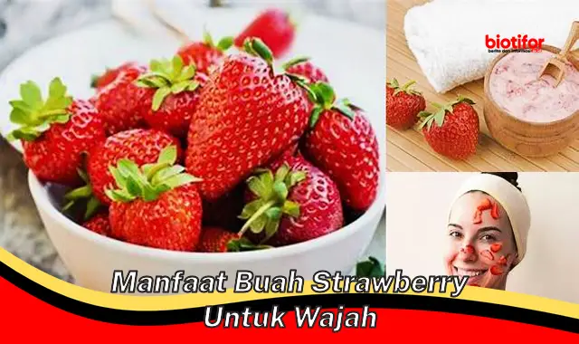 manfaat buah strawberry untuk wajah