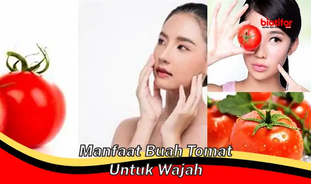 manfaat buah tomat untuk wajah