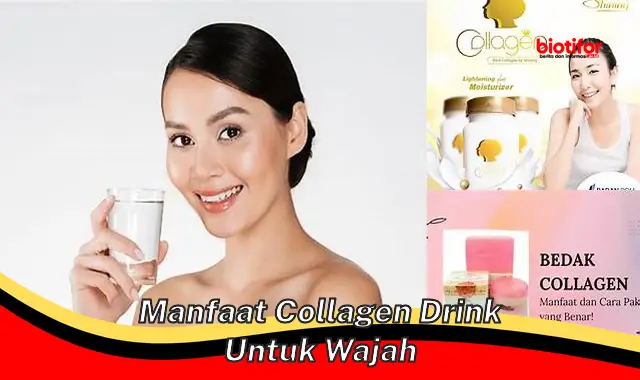 manfaat collagen drink untuk wajah