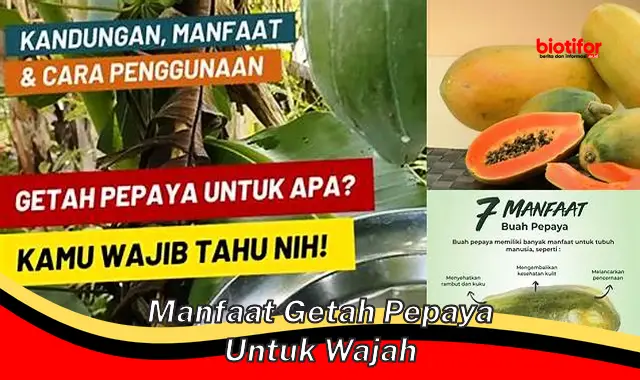 manfaat getah pepaya untuk wajah