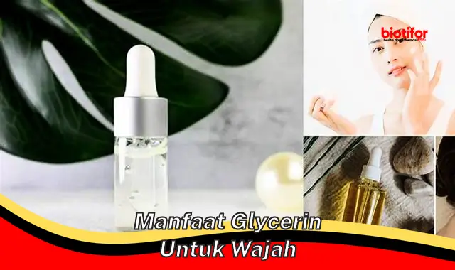 manfaat glycerin untuk wajah