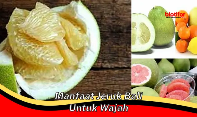 manfaat jeruk bali untuk wajah