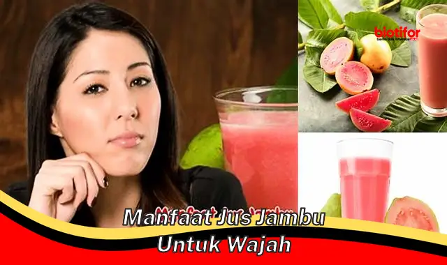 manfaat jus jambu untuk wajah