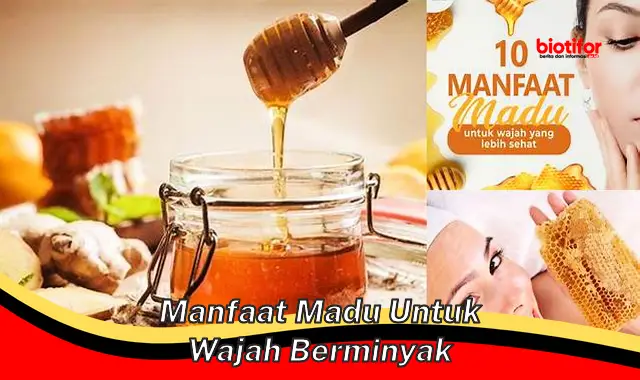 manfaat madu untuk wajah berminyak