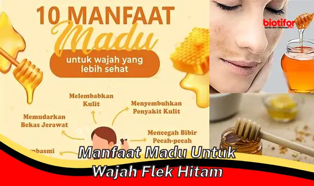 Temukan Khasiat Madu Untuk Wajah Flek Hitam Yang Jarang Diketahui