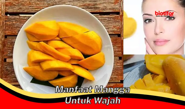 manfaat mangga untuk wajah