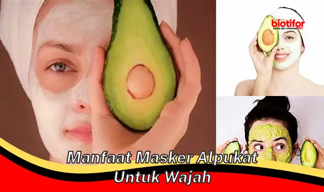 manfaat masker alpukat untuk wajah