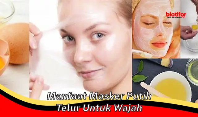 manfaat masker putih telur untuk wajah